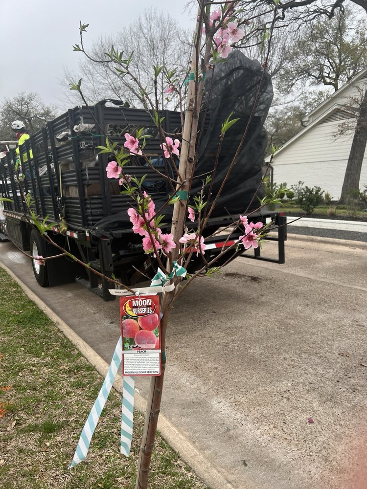 Moon Valley Nurseries gift card