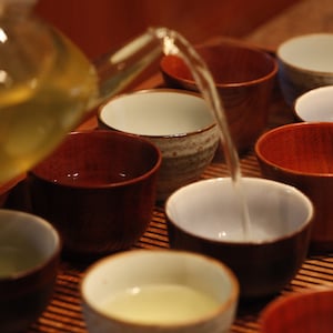 Arogya Holistic Healing
