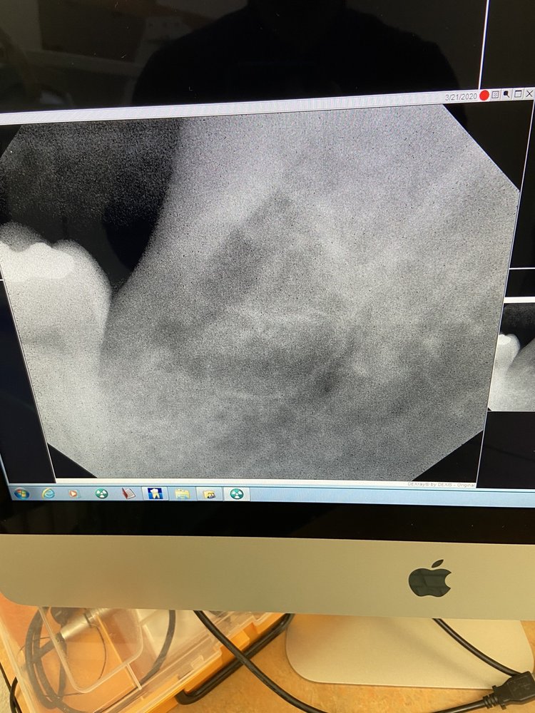 image of business Saigon Dental