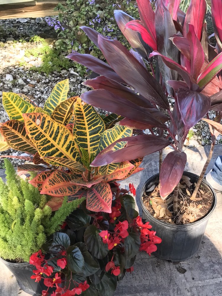 Landmark Nursery 22 Photos Nurseries & Gardening 853 E Lake Rd S