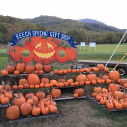 Beech Spring Gift Shop - 11 Photos - Gift Shops - 11600 Lee Hwy, Sperryville, Va - Phone Number ...