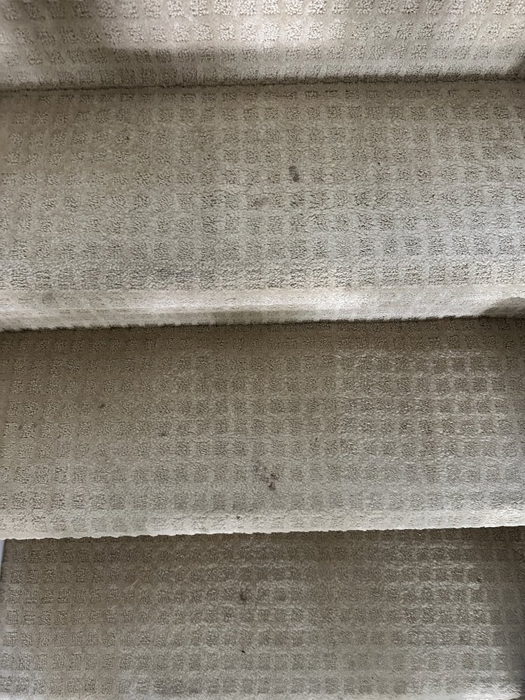 Fancy Green Carpet Cleaning