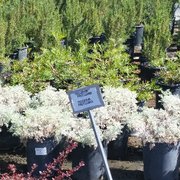 Macias Nursery 2019 All You Need To Know Before Go With
