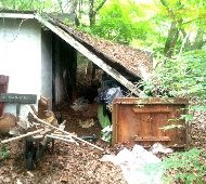 Champion Rubbish Removal