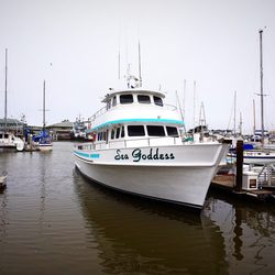 Hotels Travel In Moss Landing Yelp Hotels Travel In Moss Landing