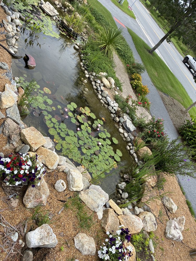 Silver Bonsai Gallery