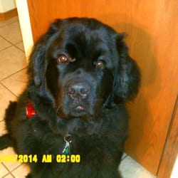 Lazy J S Doggie Spa New Lisbon Wi Lazy J S Doggie Spa New Lisbon Wi