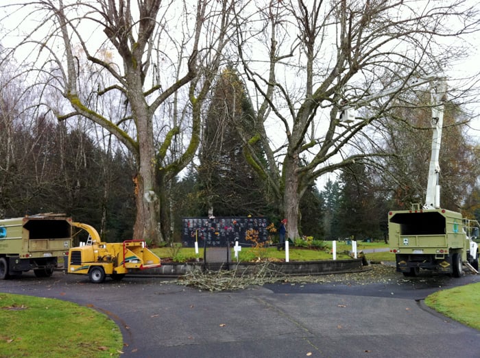 Lukens Tree Preservation