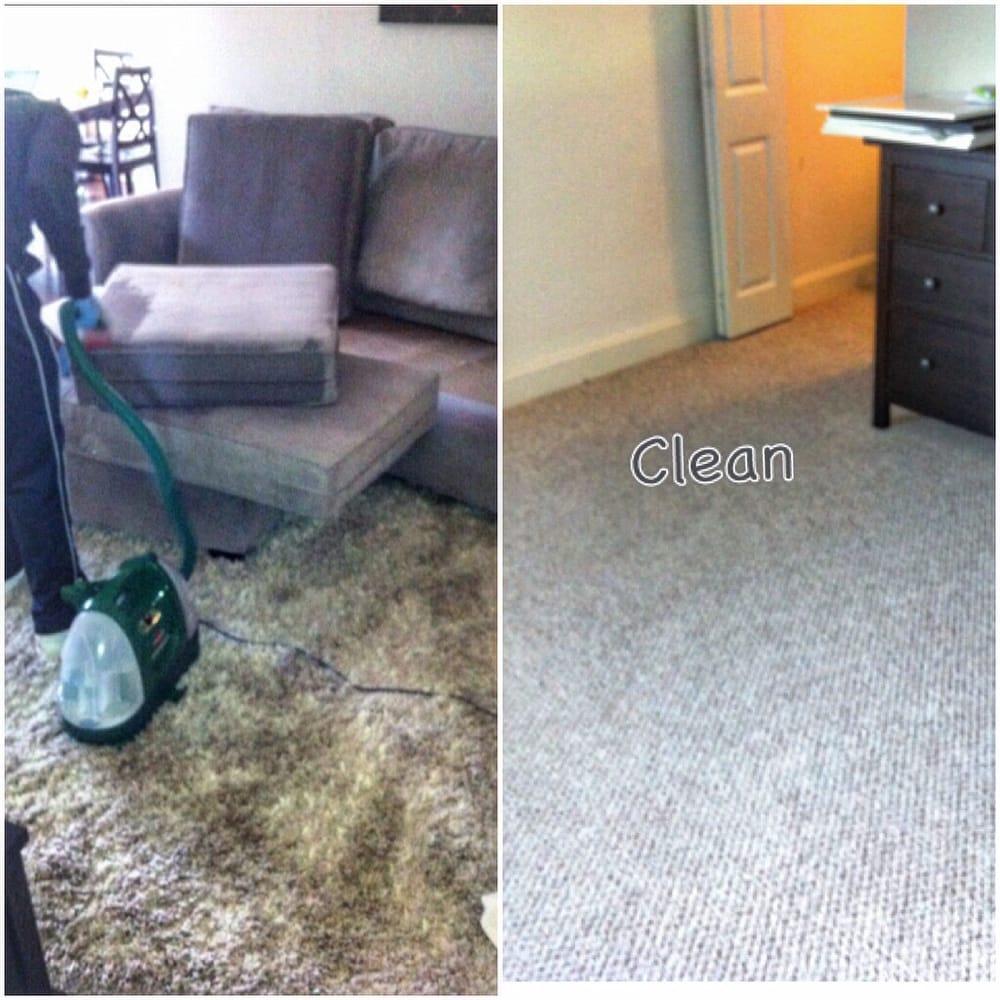 Apartment Carpet Cleaners Edmonton Carpet Rug Couch Clean Fresh The Price