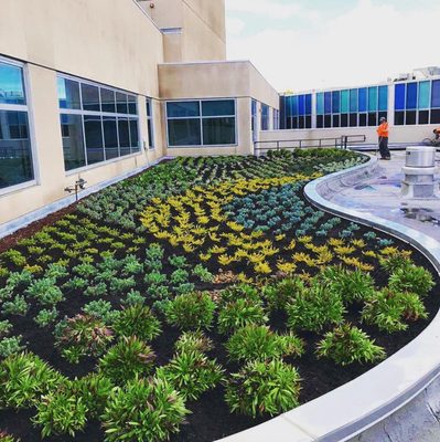 Pinnacle Landscape Management 2200 S Fairview St Santa Ana Ca Legal Help Pinnacle Landscape Management