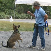 Critters Corner Pet Training 110 Wallace Rd New Smyrna Doggone Leash Dog Training