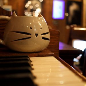 Black Cat LES on Yelp