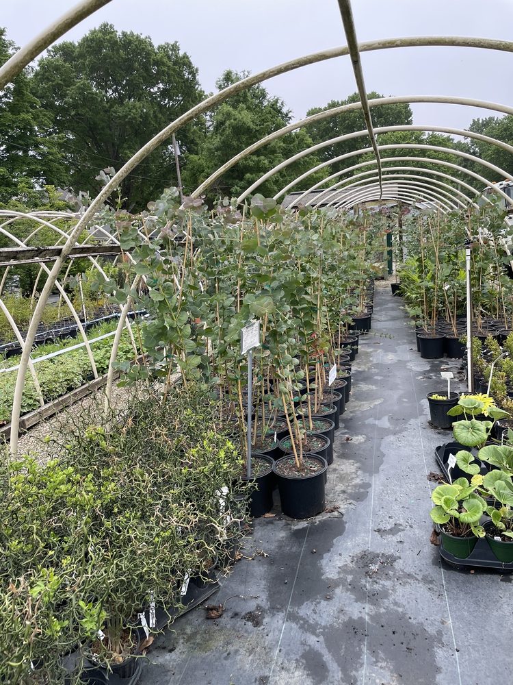 Brawley Garden Center