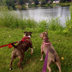 Riverside Inn 10 Reviews Hotels 930 S 1st St Fulton Ny Photo Of Riverside Inn Fulton Ny United States Dogs Are Welcome