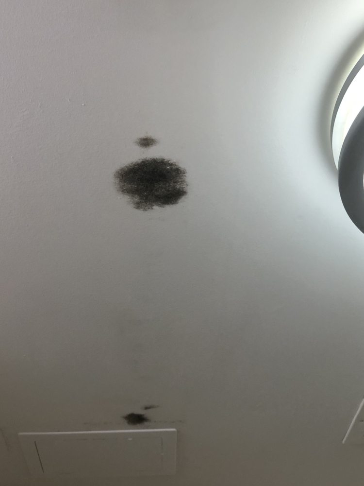 Black Mold On The Bathroom Ceiling Yelp 133 Photos For Hampton Inn Indianapolis Downtown Across From Circle Centre