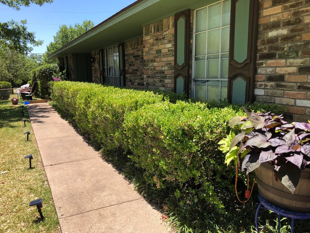 Gutierrez Property Maintenance