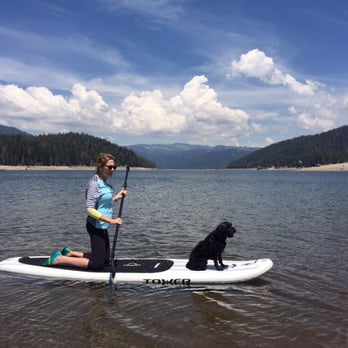 Britta’s Animal Training and Pet Services - 11 Photos - Dog Walkers ...