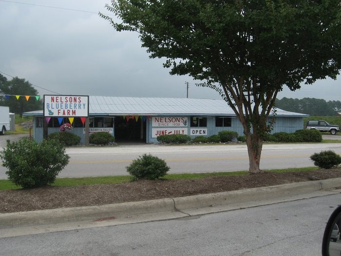 Nelson Blueberry Farm Fruits & Veggies 200 E St, Bridgeton, NC