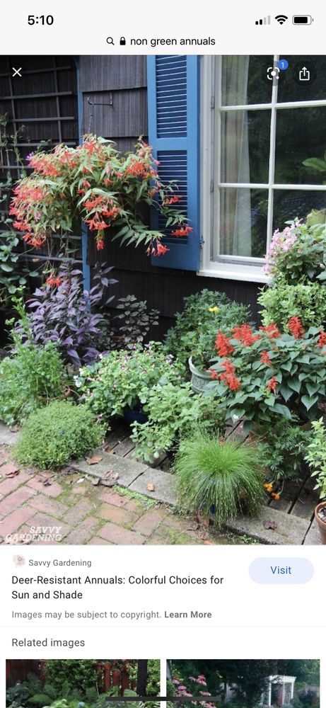 Semper Fi Landscape & Design 