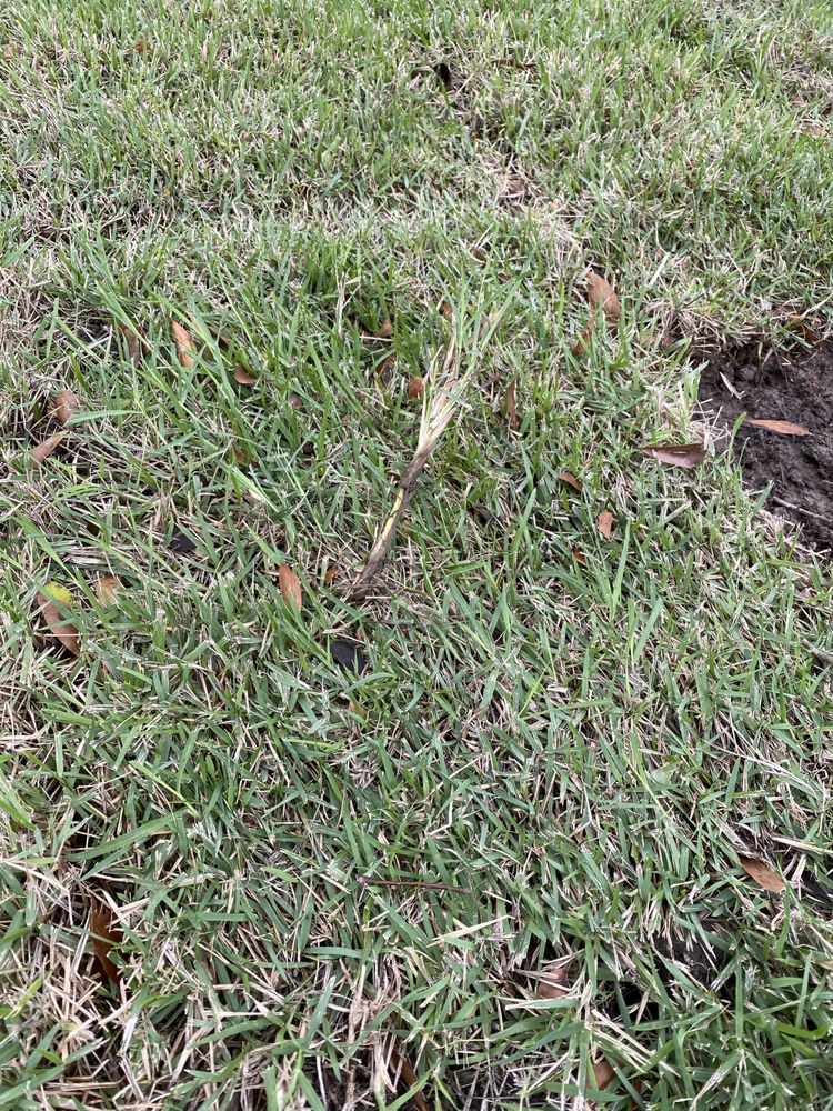 A3 Grass & Stone
