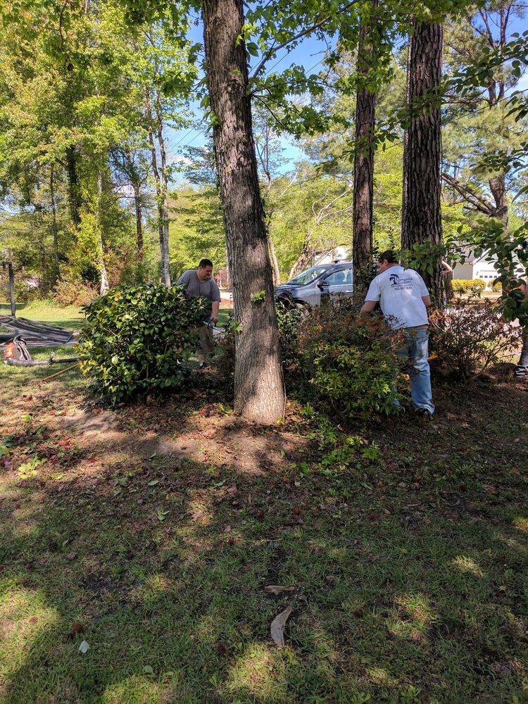 Complete Customs Landscaping Tree Service 10 Photos Complete Customs Landscaping Tree Service 10 Photos 4730 Julious Ln Myrtle Beach Sc Phone Number Yelp