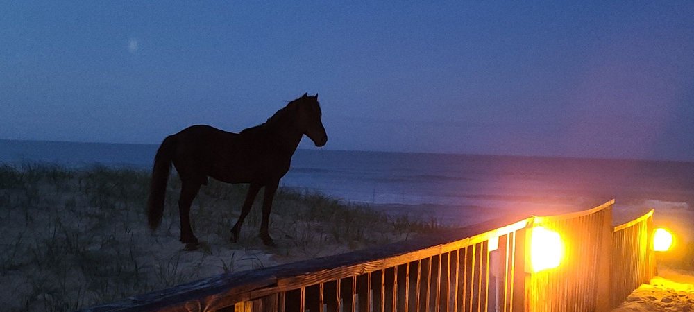 Brindley Beach Vacations and Sales