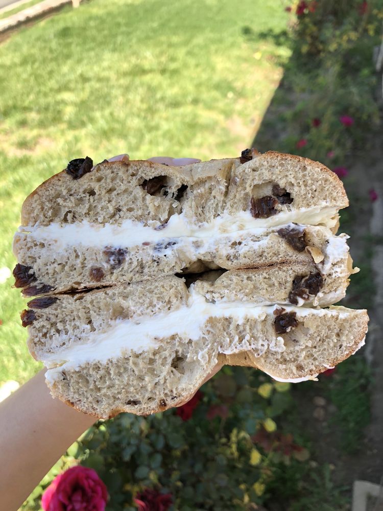 Dink's Deli & Bagel Bakery Dink's Deli & Bagel Bakery