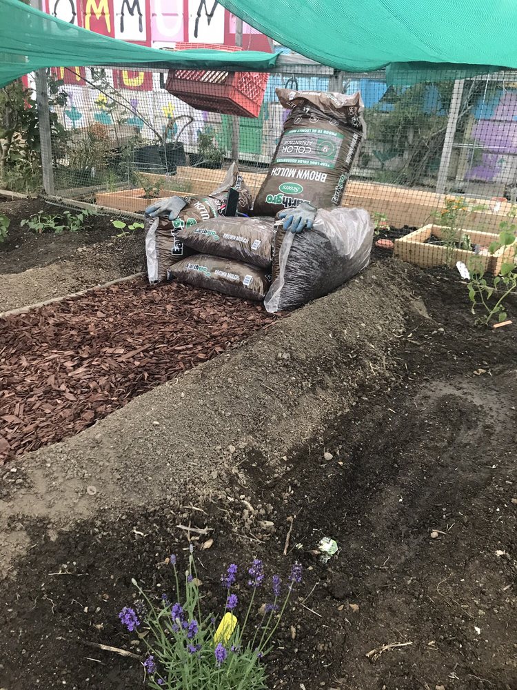 The Apothecary Medicinal Area Of The Plot Will One Day