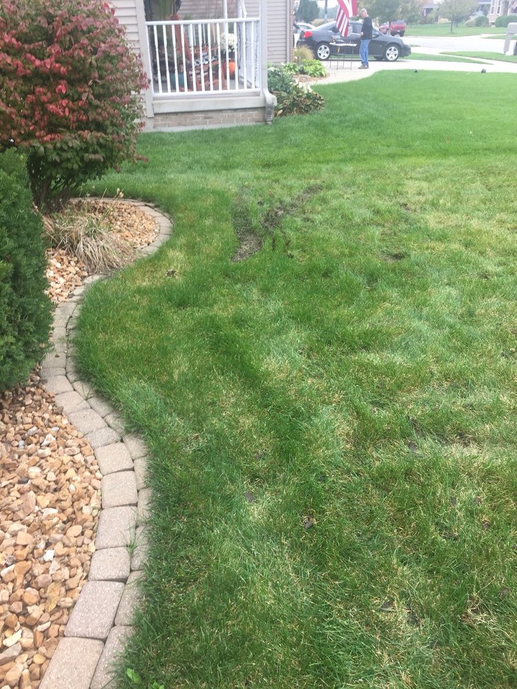 Naturescape Tree Services 1300 E 86th Pl Merrillville In Naturescape Tree Services 1300 E 86th Pl Merrillville In Phone Number Last Updated December 10 2018 Yelp