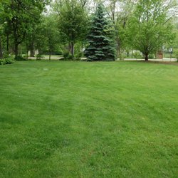 Supreme Lawn Care Get Quote Landscaping Tarryton Exposition Photo Of Supreme Lawn Care Austin Tx United States