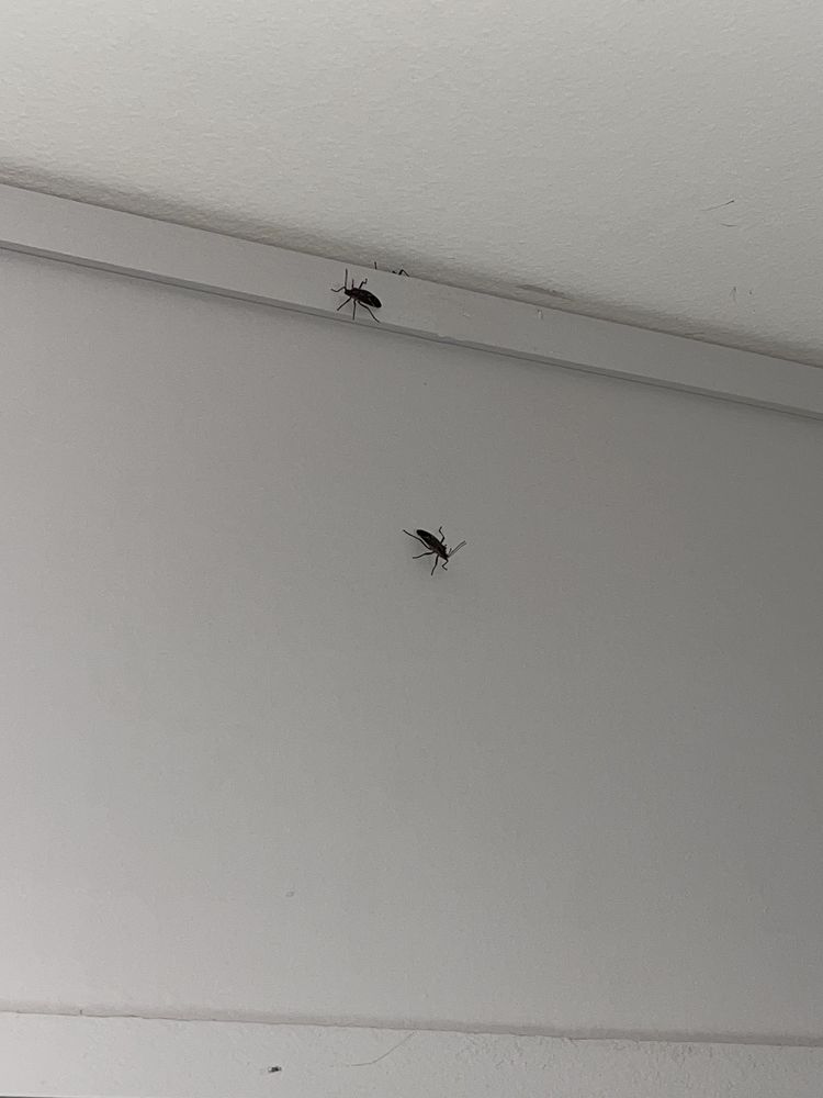 DoubleTree by Hilton Hotel Winston Salem - University