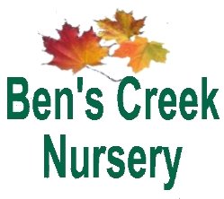 Ben's Creek Nursery