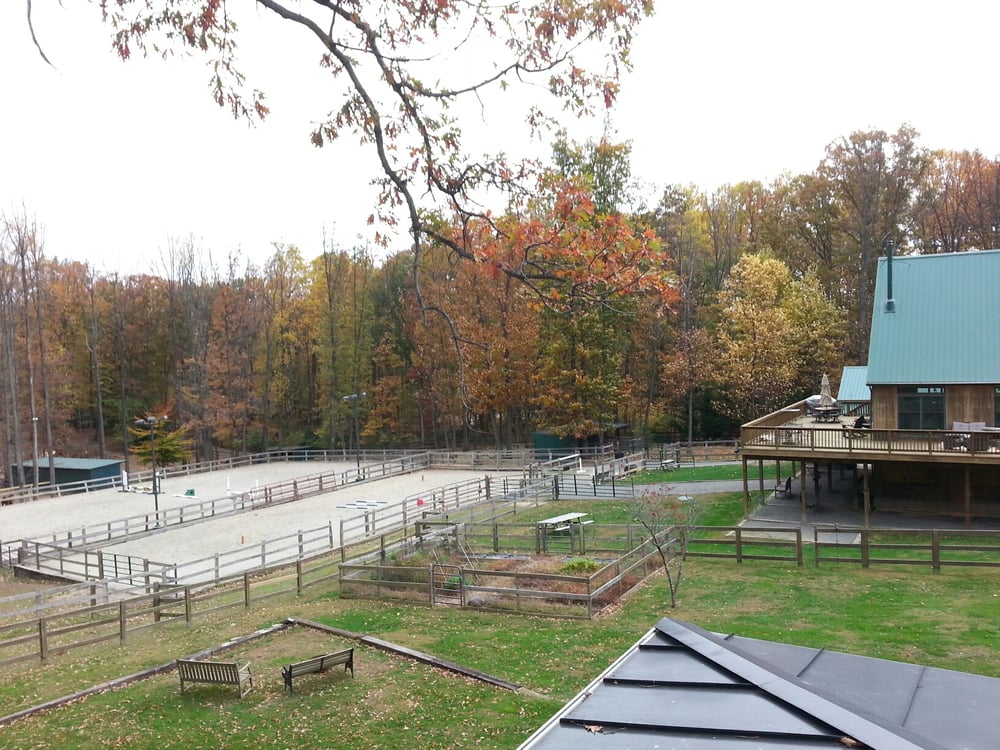 Blacks Hill Stables