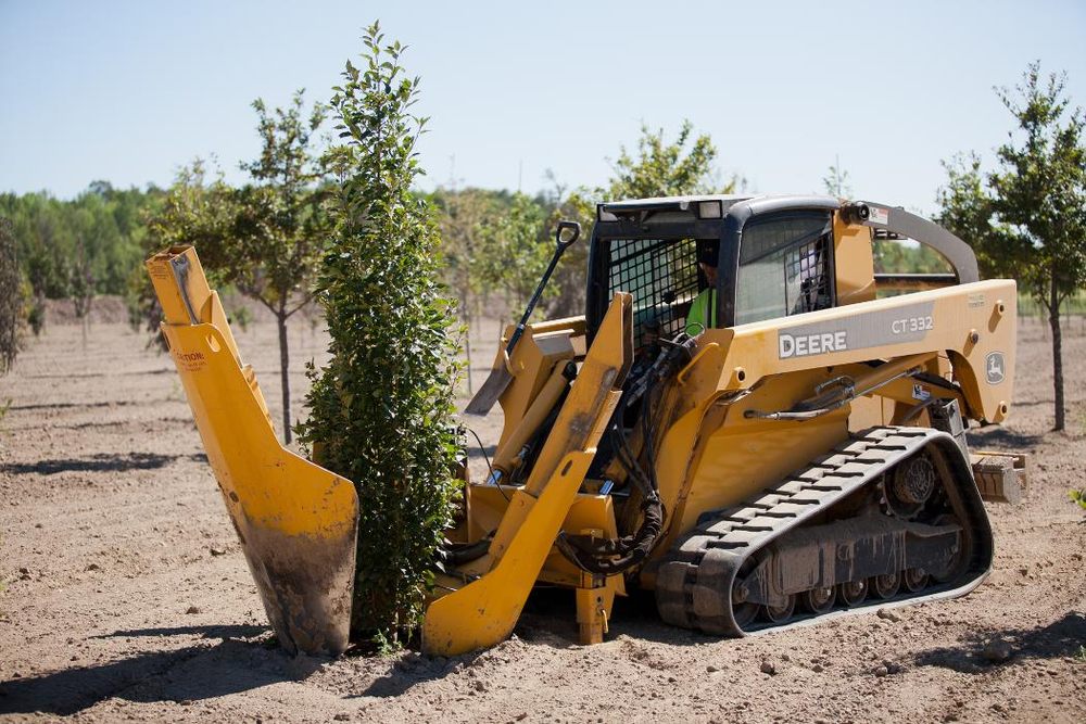 Manotick Tree Movers