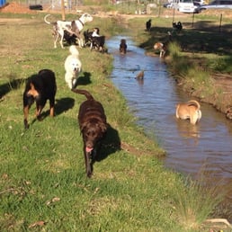 Australian Canine Sports And Training Centre 10 Photos Pet Australian Canine Sports And Training