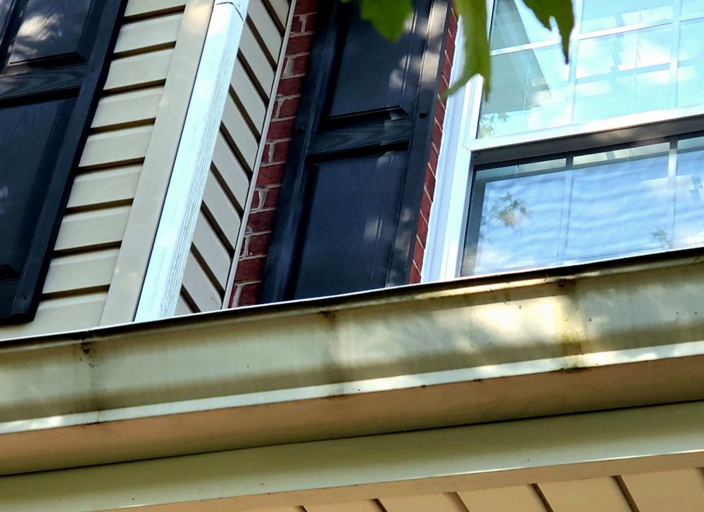 image of business LeafGuard of Nashville