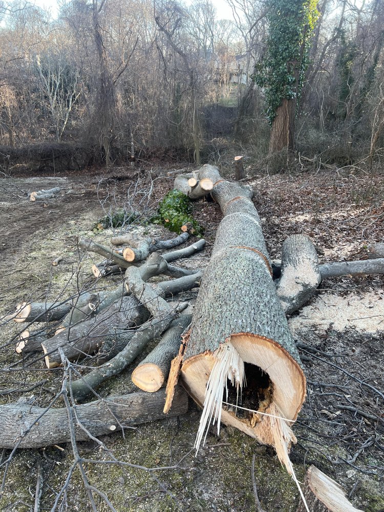 Streeff Tree Experts