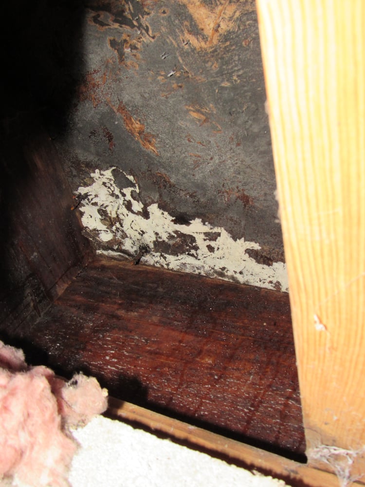 Stephen and Son Home Inspection