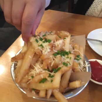 Brown Chicken Brown Cow - 1083 Photos 