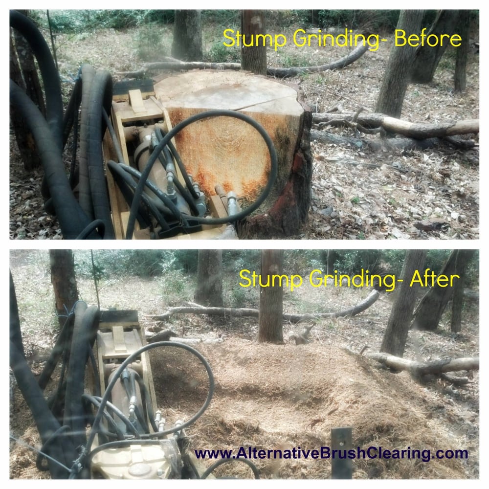 Alternative Brush Clearing
