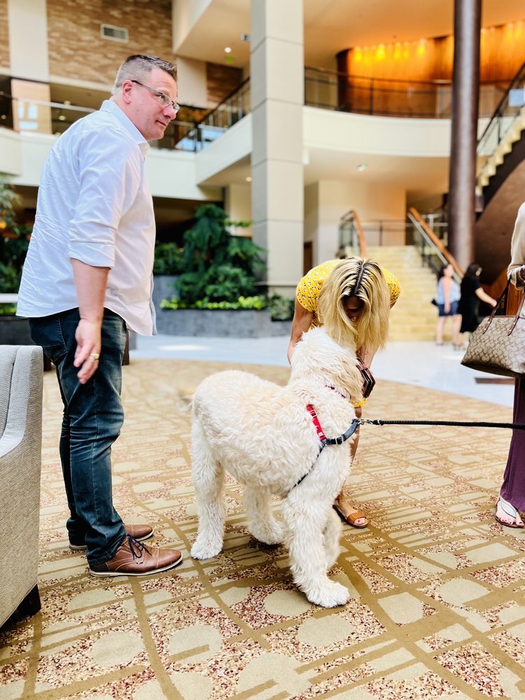 Hyatt Regency Bellevue on Seattle's Eastside