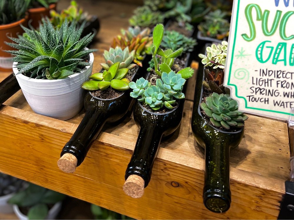 Trader Joe's