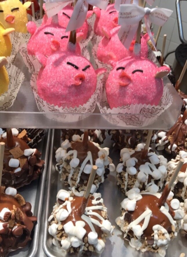 Rocky Mountain Chocolate Factory