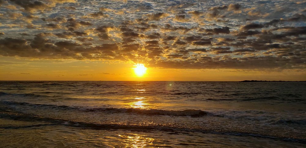 Wellness Educator and Healthy Lifestyle Assistant