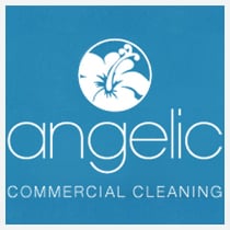 Angelic Maid Cleaning Services