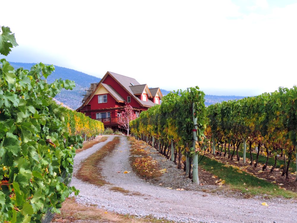 River Stone Estate Winery 14 Photos Wineries 143 Buchanan Drive, Oliver, BC Phone Number