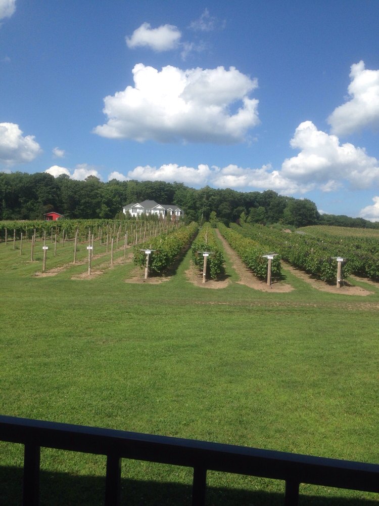 Blue Ridge Winery - 24 Photos & 16 Reviews - Wineries - 239 Blue Ridge