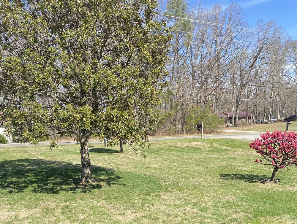 Bright Lawn Care