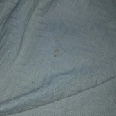 Bay View Myrtle Beach Bed Bugs Bay View Myrtle Beach Bed Bugs