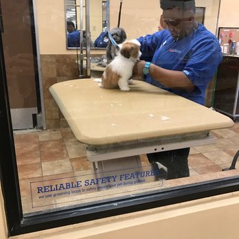 Petsmart Pet Hotel Atlanta Ga Petsmart Pet Hotel Atlanta Ga